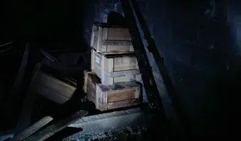 Zdjęcie opuszczonego miejsca: Opuszczony dom z wielką działką