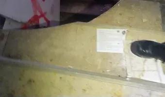 Zdjęcie opuszczonego miejsca: Fabryka i hale szedowe