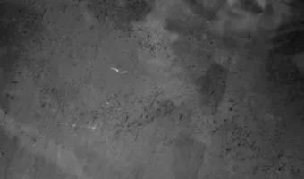 Zdjęcie opuszczonego miejsca: Dworek ,,Marianówka"