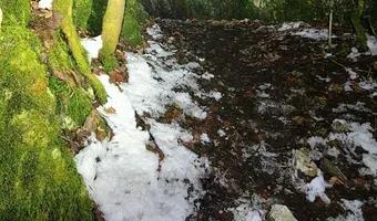 Zdjęcie opuszczonego miejsca: Kawerna Pychowice II i III