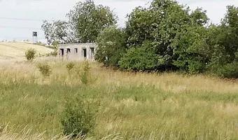 Zdjęcie opuszczonego miejsca: Ruiny osady w Gołąbkowie