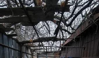 Zdjęcie opuszczonego miejsca: Opuszczone zaplecze PKS