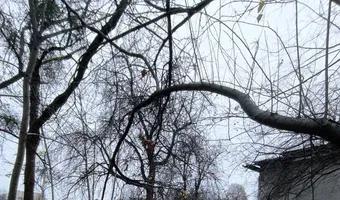 Zdjęcie opuszczonego miejsca: Opuszczone zaplecze PKS