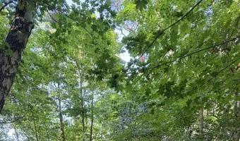 Zdjęcie opuszczonego miejsca: Prawy boczny punkt kierowania ogniem