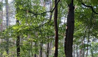 Zdjęcie opuszczonego miejsca: Prawy boczny punkt kierowania ogniem