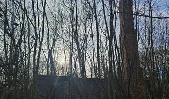 Zdjęcie opuszczonego miejsca: Opuszczony zakład z kominem