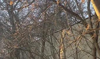 Zdjęcie opuszczonego miejsca: Opuszczony serwis opon