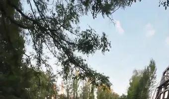 Zdjęcie opuszczonego miejsca: Most Podsadzkowy