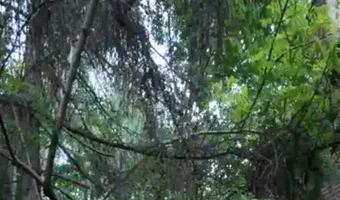 Zdjęcie opuszczonego miejsca: Budynek po byłej kopalni