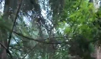 Zdjęcie opuszczonego miejsca: Budynek po byłej kopalni