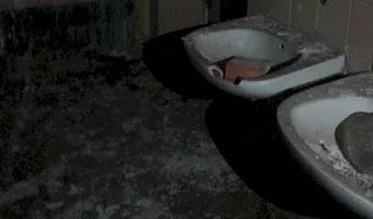 Zdjęcie opuszczonego miejsca: Opuszczone budynki szpitala psychiatrycznego srebrniki, Gdańsk