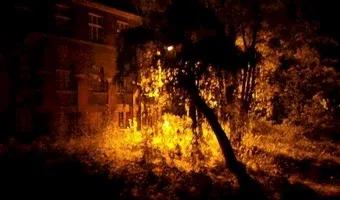 Zdjęcie opuszczonego miejsca: Opuszczone budynki szpitala psychiatrycznego srebrniki, Gdańsk