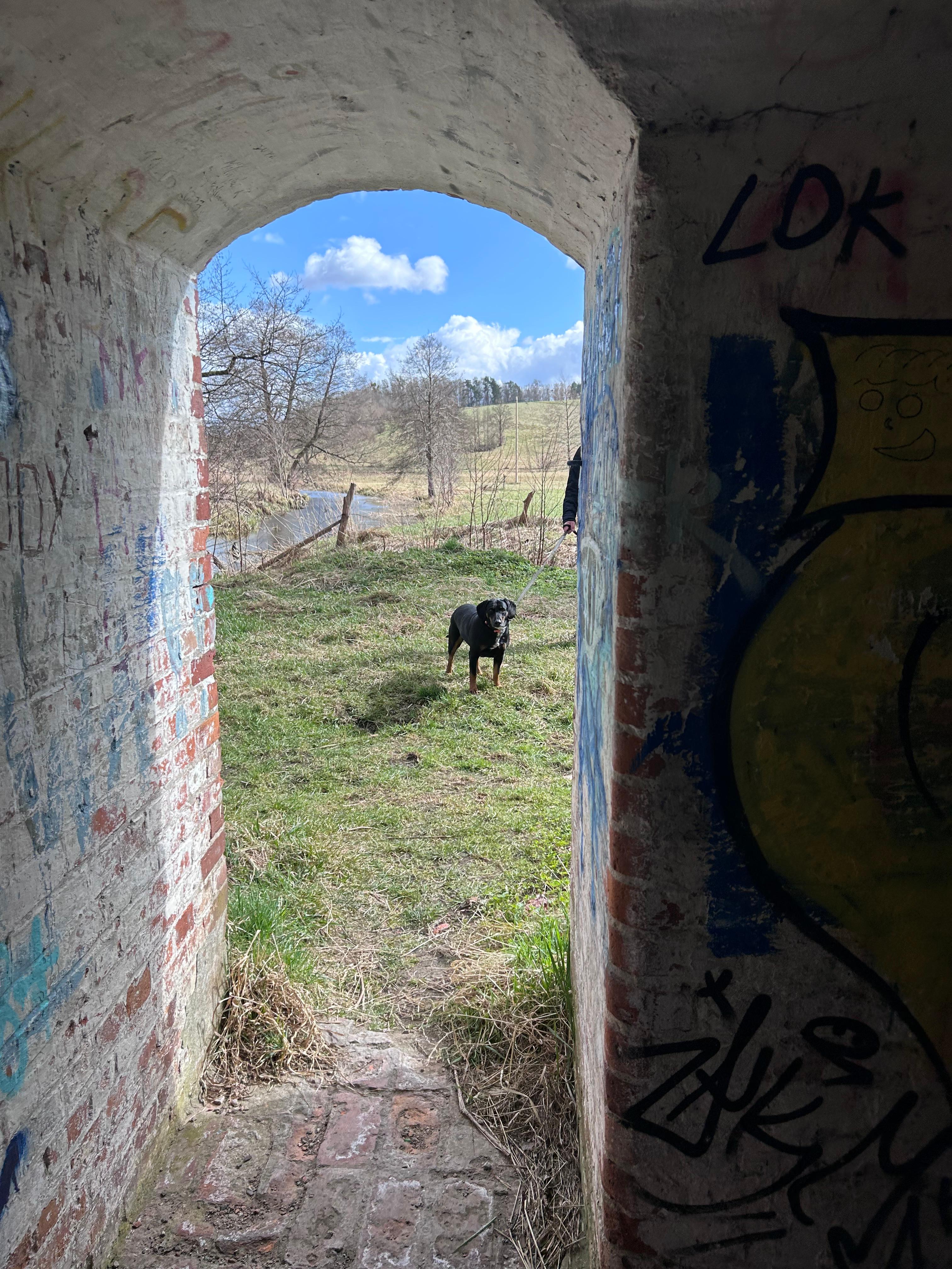 Zdjęcie opuszczonego miejsca: Bunkier ochrony kolei, Tomaryny