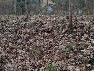 Miniatura: Kilka opuszczonych budynków