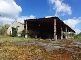 Miniatura: Puszczony hangar