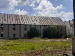 Miniatura: Puszczony hangar