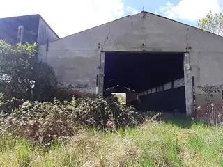 Miniatura: Puszczony hangar