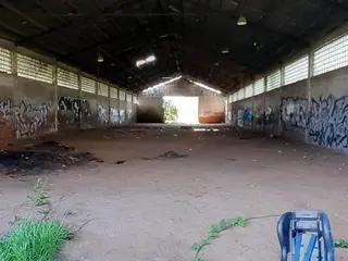 Miniatura: Puszczony hangar