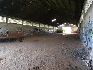 Miniatura: Puszczony hangar