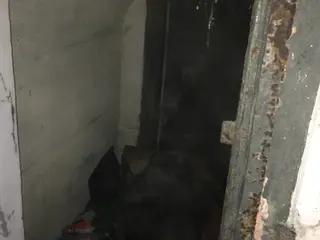 Miniatura: Schrony przeciwlotnicze