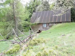 Miniatura: Dom przy szlaku