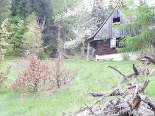 Miniatura: Dom przy szlaku