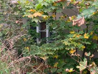 Miniatura: Jakiś dom