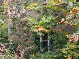 Miniatura: Jakiś dom