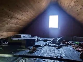 Miniatura: Nightclub