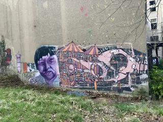 Miniatura: Opuszczony Szpital Psychiatryczny