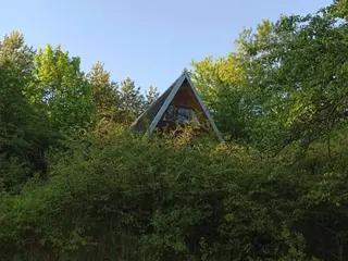 Miniatura: Opuszony domek Baba Jagi