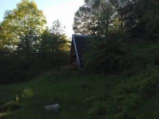 Miniatura: Opuszony domek Baba Jagi