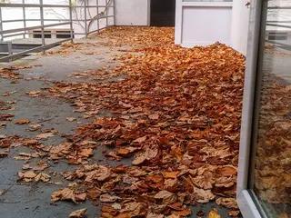 Miniatura: Spa Morena w Łagowie.