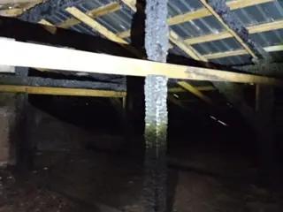 Miniatura: Szpital zakaźny