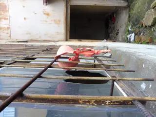 Miniatura: Opuszczona osiedlowa kotłownia