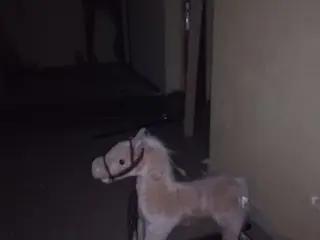 Miniatura: MD. Ośrodek wczasowy