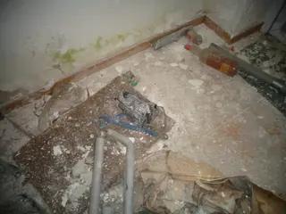 Miniatura: Sala weselna Bagatela