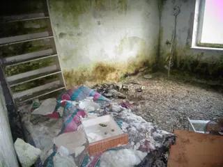 Miniatura: Sala weselna Bagatela