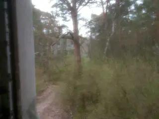 Miniatura: Zakład dla Nerwowo i Psychicznie Chorych Żydów „Zofiówka”