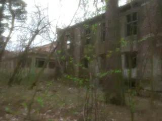 Miniatura: Zakład dla Nerwowo i Psychicznie Chorych Żydów „Zofiówka”