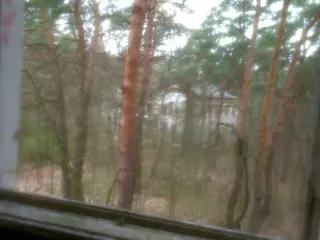 Miniatura: Zakład dla Nerwowo i Psychicznie Chorych Żydów „Zofiówka”