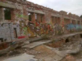 Miniatura: Zakład dla Nerwowo i Psychicznie Chorych Żydów „Zofiówka”