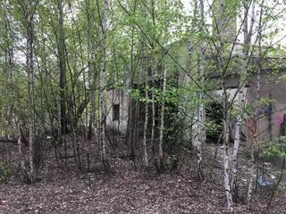 Miniatura: Dwa niewielkie budynki, ruiny i mały komin z drabiną