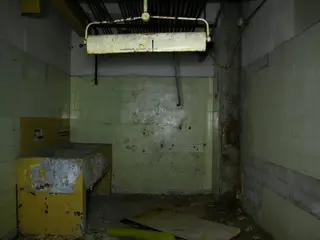 Miniatura: Stalownik