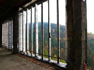 Miniatura: Stalownik