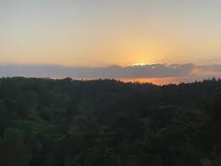 Miniatura: Wieża radiowa Rysie Wzgórze, Sopot