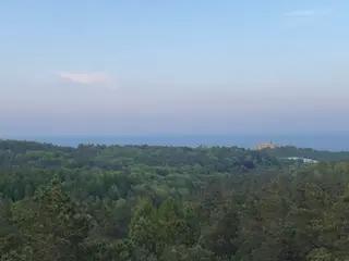 Miniatura: Wieża radiowa Rysie Wzgórze, Sopot