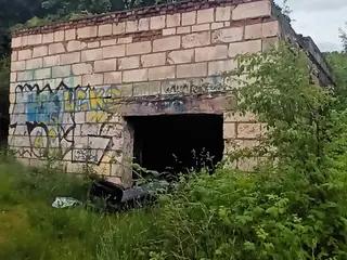 Miniatura: Opuszczony domek