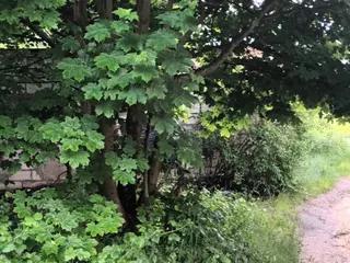 Miniatura: Opuszczony domek