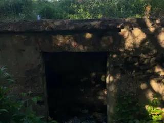 Miniatura: opuszczone bunkry